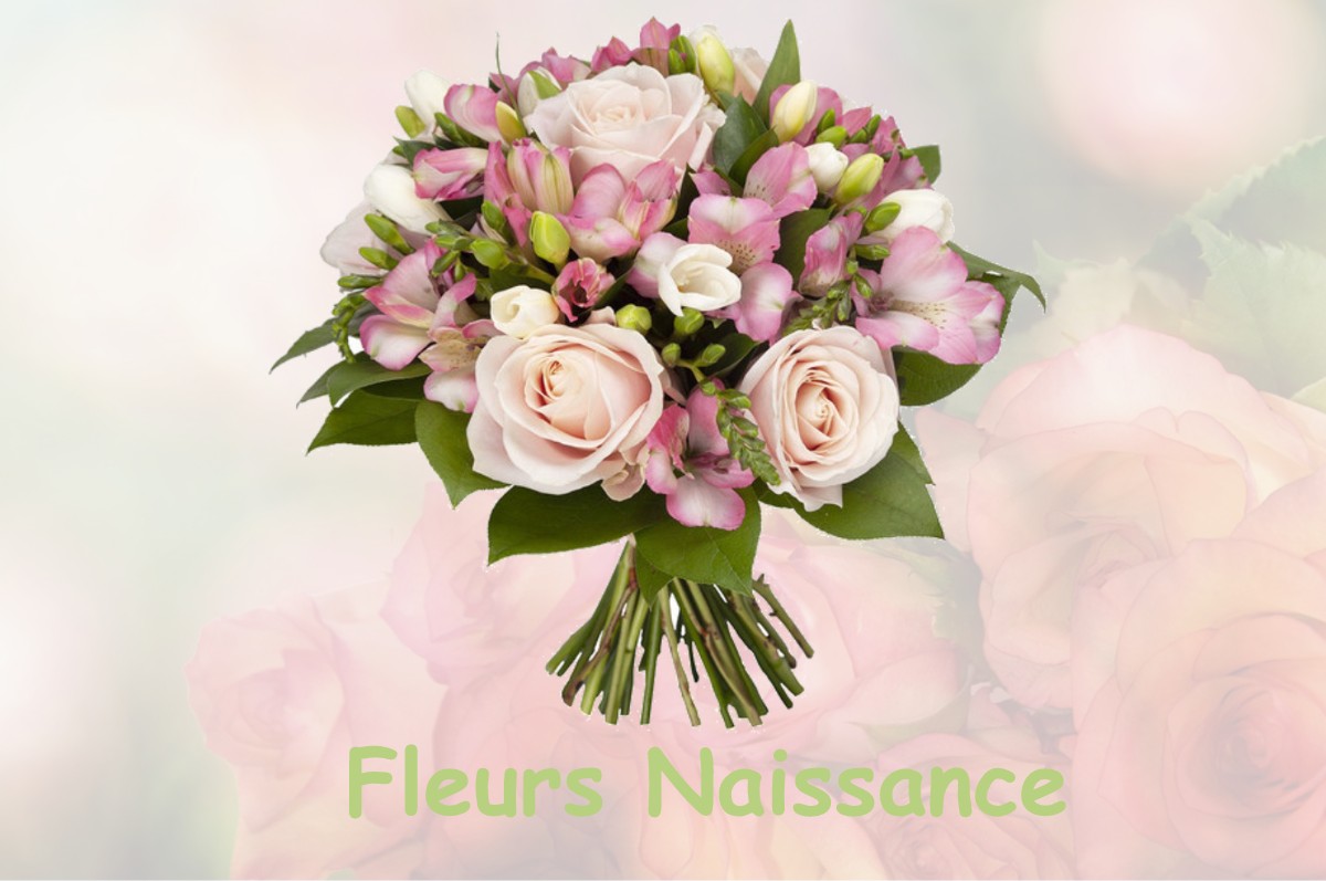 fleurs naissance LE-PIN-AU-HARAS
