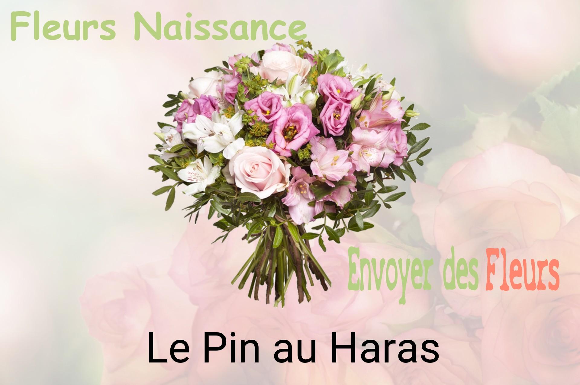 Bouquet de fleurs de naissance livré à Le Pin-au-Haras